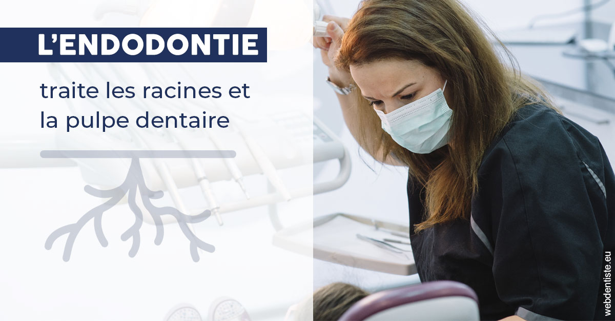 https://selarl-cabinet-dentaire-deberdt.chirurgiens-dentistes.fr/L'endodontie 1
