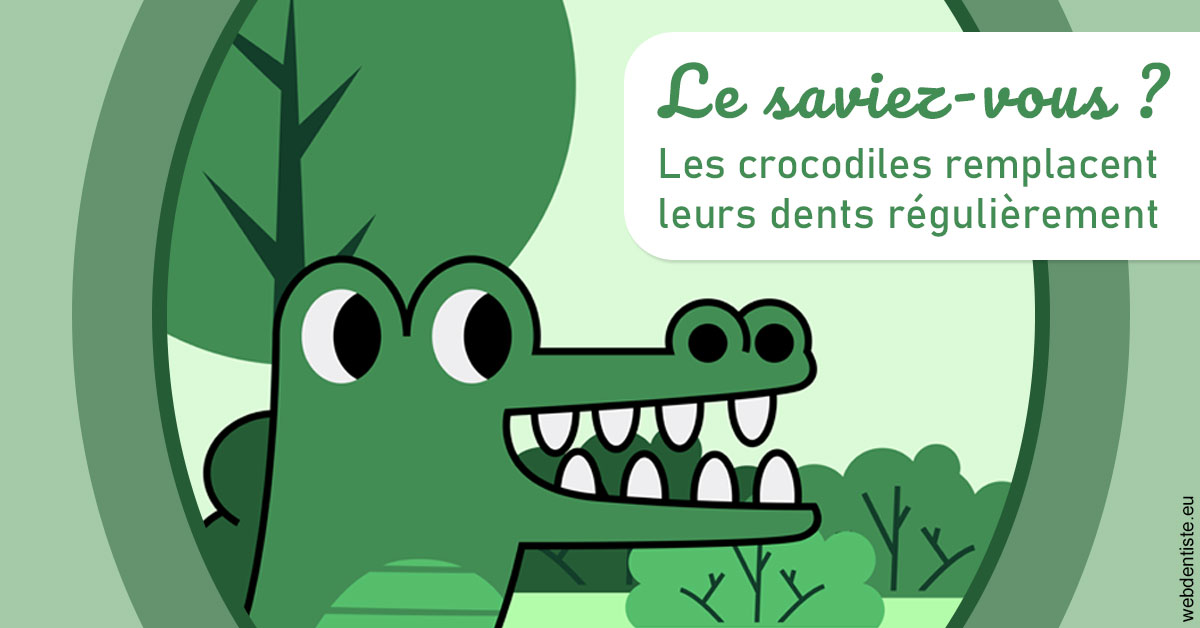 https://selarl-cabinet-dentaire-deberdt.chirurgiens-dentistes.fr/Crocodiles 2