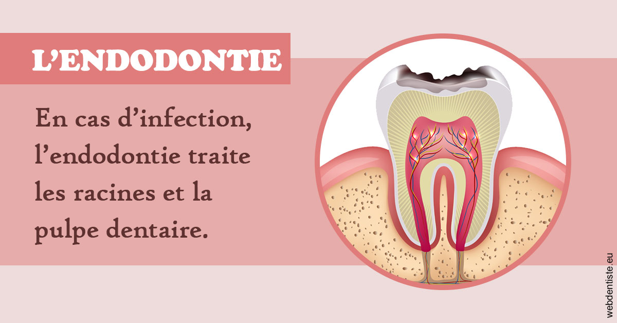 https://selarl-cabinet-dentaire-deberdt.chirurgiens-dentistes.fr/L'endodontie 2